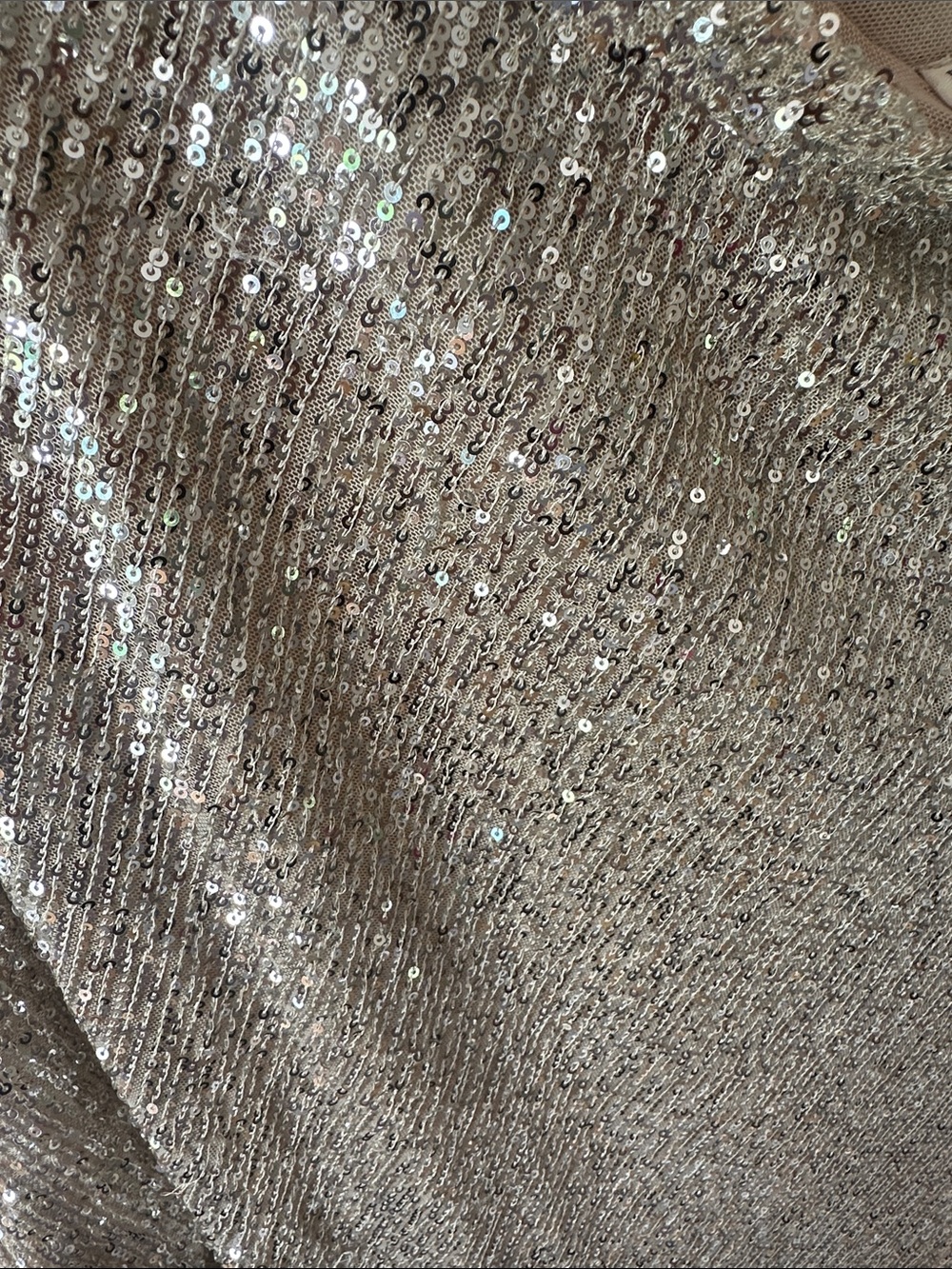 Style Rack Silver Sequin Mini Dress - Picture 5 of 5